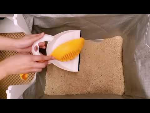 凱優Cat's Best 凝結型木屑砂-黑牌 實測