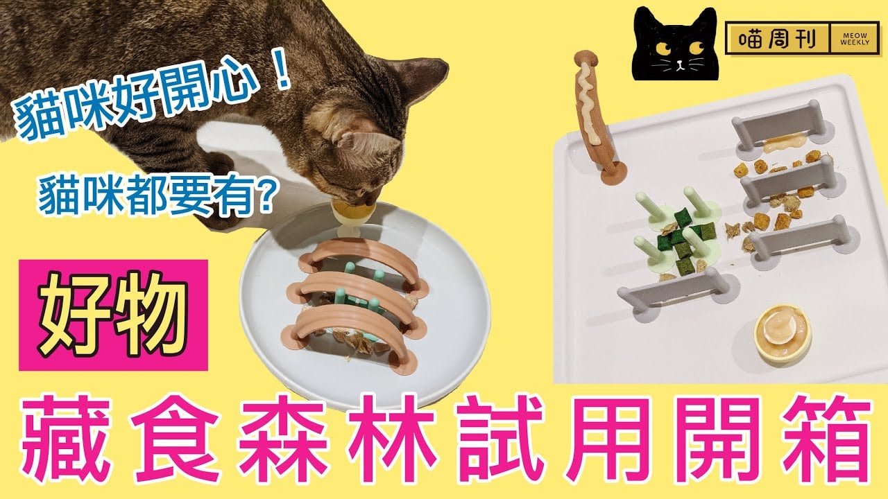 正常上班後貓咪行為異常？每位貓都需要的藏食玩具＋推薦好物-藏食森林開箱