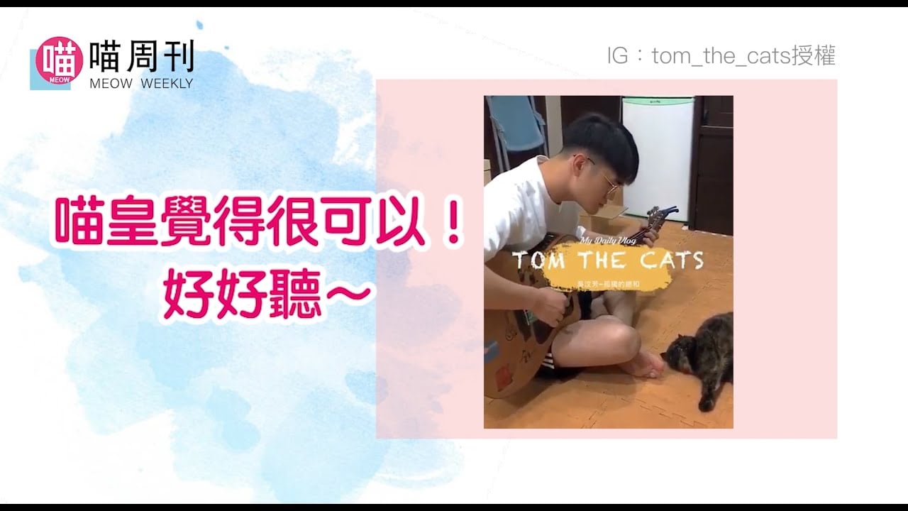 這個歌聲很可以！貓皇聽了都醉了～