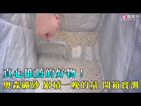 2020貓砂推薦！0粉塵，超除臭，凝結好-奧森礦砂開箱實測